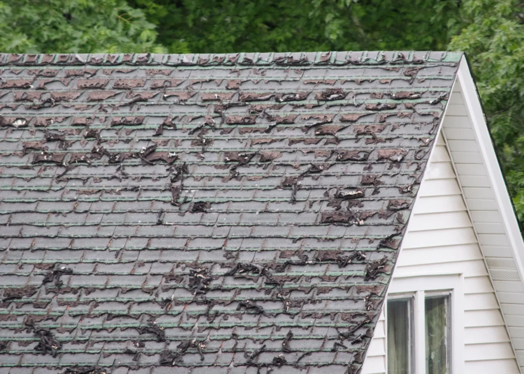 Storm Damaged Roof